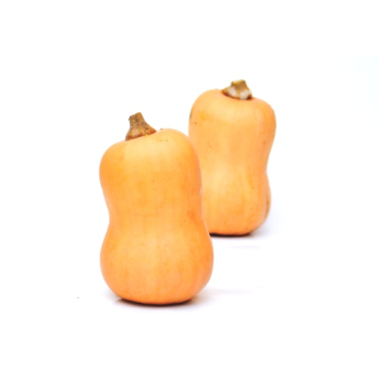 Kürbis Butternut - 800 -1200 g