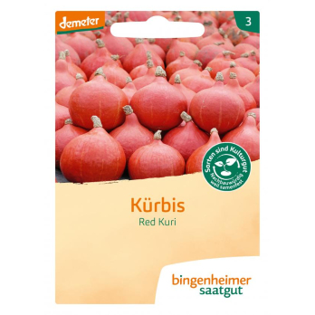 Saatgut Kürbis Hokkaido - Red Kuri