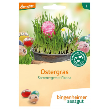 Saatgut Ostergras