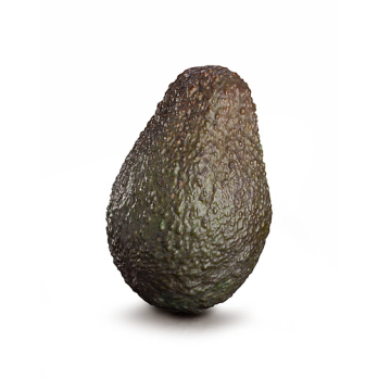 Avocado "Hass"
