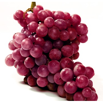 Traube rot-blau kernlos     2026