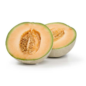 Melone Charentais -Netzmelone